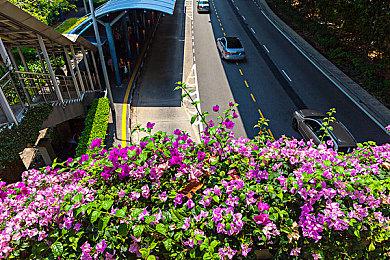 都市日常+反塔防战斗RPG，《加把劲魔女》8月17日发售！首发特惠49元